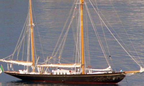 Black Swan Of 1889 40.5m